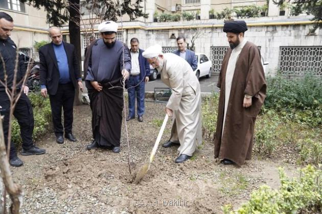 به زمین خواری و قلع و قمع درختان بدون مسامحه رسیدگی می کنیم